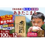 ふるさと納税 ※令和6年産 新米予約※《定期便12ヶ月》秋田県産 あきたこまち 100kg【無洗米】(5kg小分け袋) 2024年産 お届け周期調整可能 隔.. 秋田県北秋田市