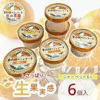 果樹園のジェラート 夏にさっぱりシャーベット6個セット 10…
