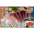 天然 生ひみ寒ぶり 刺身用 約800g〈アラ付き〉