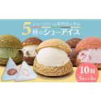 シューアイス 10個セット BLBH001
