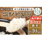 お好みに合わせて精米 令和6年産 コシヒカリ 10kg