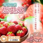 越後姫 いちご 雪国完熟 1~3月 170g×6回