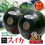 ひとりじめBonBonリッチ黒皮小玉スイカ2玉すいか西瓜ZEM002