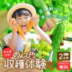 オーガニックファームでのんびり過ごそう