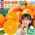 おいしい 完熟 たんかん 光センサー選別 5kg