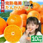 おいしい 完熟 たんかん 光センサー選別 10kg