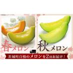 ふるさと納税 371 メロン 定期便 春メロン 秋メロン 人気 食べ比べ フルーツ 先行予約 数量限定 2回 お届け メロン好き 集合 茨城県茨城町