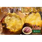 さつまいも 紅はるか Mサイズ 11kg