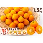 種無し金柑 ぷちまる 訳あり 1.5kg