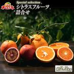 媛小春 2.5kg