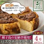 n229 安納芋のバスクチーズケーキ 種子島の風景