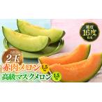 ふるさと納税 【先行予約】青肉アールスナイトメロン 赤肉パリスメロン 秀品 各1玉(1.5kg以上×2玉)【アールス系メロン】《糖度16度程度.. 福井県あわら市
