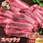 豚帝 スペアリブ 約1.5kg
