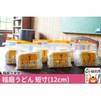 ふるさと納税 稲庭古来堂 稲庭うどん 短寸12cm 500g×6袋 計3kg 1回お届け 伝統製法認定 稲庭古来うどん 秋田県仙北市