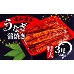 ふるさと納税 うなぎ蒲焼き 220g×3尾 | 鰻鰻鰻鰻鰻鰻鰻鰻 高知県須崎市