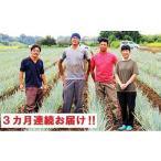 関田農園の厳選 長ねぎ 泥付き 箱3kg×3回