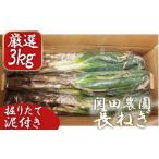 fu.... таможня рисовое поле сельское хозяйство .. [ тщательно отобранный длина лук порей ( грязь имеется )] коробка 3kg [11246-0114] Saitama префектура Сираока город 