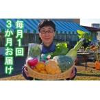 厳選 おおばん市場 旬の野菜詰め合わせ