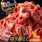 長崎和牛 牛肉切り落とし 計1.0kg