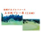 ふるさと納税 桔梗が丘ゴルフコース土日祝２名様プレー券 三重県名張市