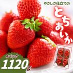 やさしさ仕立てのとちあいか 280g×4P