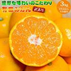 の極早生みかん 3kg