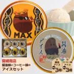 醤油味とコーヒー味のアイスセット No.154-03