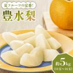 豊水梨 約5kg