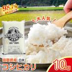 令和8年産 近江米 こしひかり