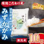 令和7年産 無洗米 みずかがみ 10kg
