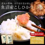 魚沼産コシヒカリ 5kg