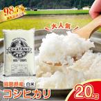 令和8年産 近江米 コシヒカリ 白米