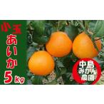 ふるさと納税 【2025年12月から順次発送】 愛果28号 小玉 5kg(30〜40個) |紅まどんな と同品種 みかん 愛果 蜜柑 松山市産みかん 柑橘 ミカン .. 愛媛県松山市