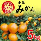 中島産 温州みかん 小玉5kg ミカン 蜜柑