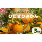 日向屋 ひだまりみかん 3kg