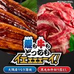 2265 鰻も牛もどっちもイエェェェーイ
