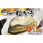 ブランド牡蠣 豊前海一粒かき しいだ小粒がき