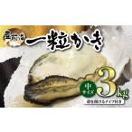 ブランド牡蠣 豊前海一粒かき しいだ小粒がき