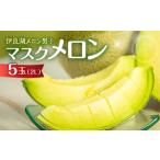 2027年 マスクメロン 5玉