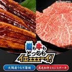 2267 鰻も牛もどっちもイエェェェーイ セット3