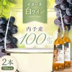 白ワイン ピオーネ 約720ml