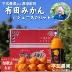ふるさと納税 農家直送!有田みかん(約8kg訳あり≪サイズ混合≫)とジュースのセット 平武農園 〜蛍飛ぶ町から旬の便り〜 和歌山県有田川町
