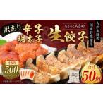 訳あり ちょっと大きめ 生餃子 ラー麦使用 1kg