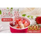 完熟 冷凍 いちご ぷち苺 50g×12カップ