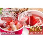 完熟 冷凍 いちご ぷち苺 と さら苺 各6カップ
