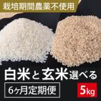 ★栽培期間農薬不使用★こしひかり 5kg