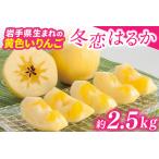 ふるさと納税 りんご はるか 「冬恋はるか」 約2.5kg 糖度15度以上【先行予約 12月発送予定】 数量限定 岩手県産 りんご リンゴ 林檎 冬恋 はる.. 岩手県紫波町