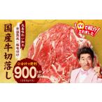 ふるさと納税 【TVで紹介!】国産牛 切り落とし 900g 小分け 300g×3P【国産 牛肉 氷温熟成×極味付け 訳あり サイズ不揃い カレー 牛.. 大阪府泉佐野市
