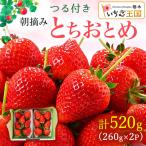いちご とちおとめ つる付き 2パック箱 ※2026年11月下旬~発…