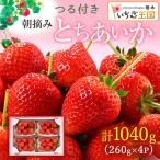 いちご とちあいか つる付き 4パック